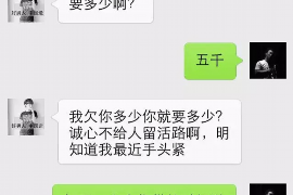 安丘如果欠债的人消失了怎么查找，专业讨债公司的找人方法